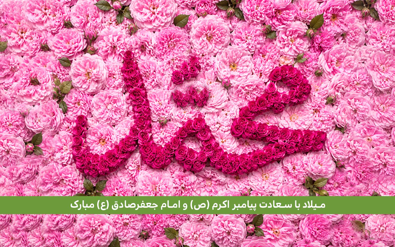 آموزش با کیفیت در مدارس سرای دانش